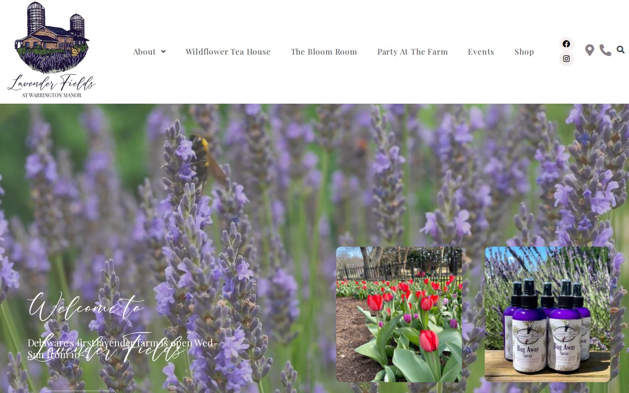 Lavender Fields DE